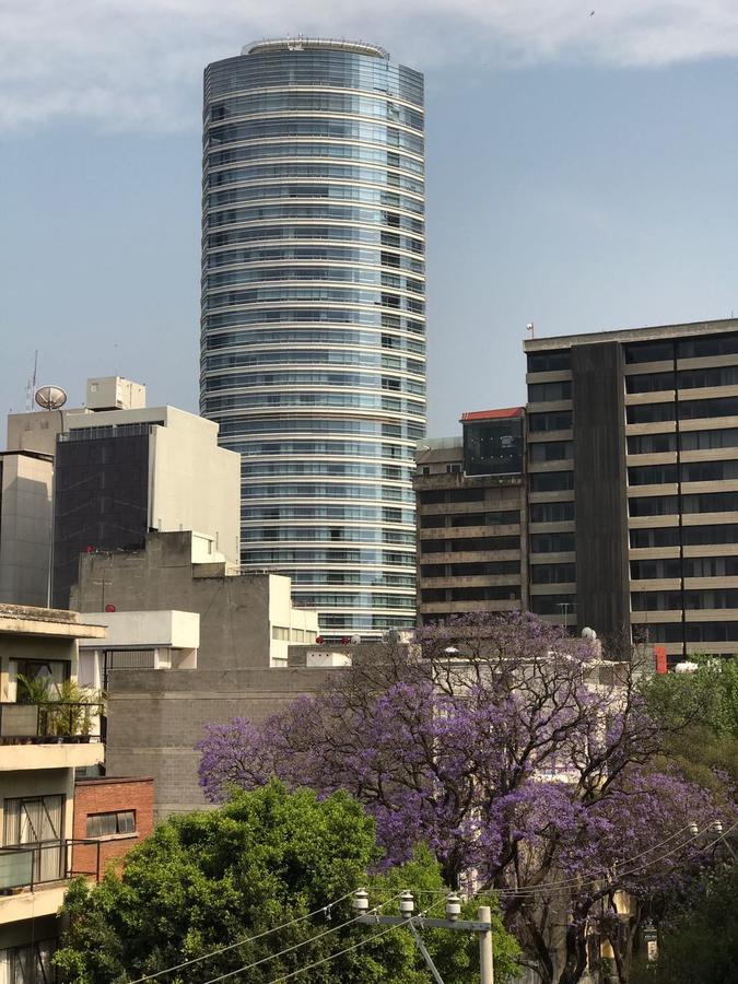 멕시코 시 Departamentos Panuco 아파트 외부 사진